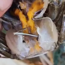 水产品
