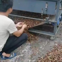 各种枳实