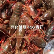江苏兴化精品蟹塘虾，全国可发货，一件直达