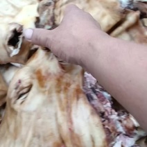 牛头（，火烧牛头，纯草地小肥牛头，全部劈开的，，，，，，