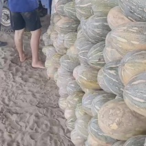 松滋瓜