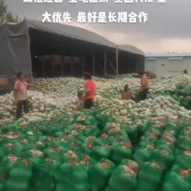 水果冬瓜图片有联系方式直接联系