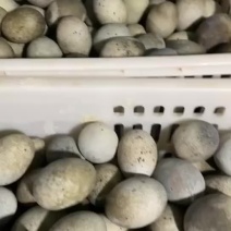 赶集好货，赶集靓货！质优价廉！先到先得！！！！！