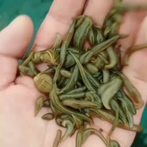 特种养殖，宽体金线蛭，蚂蟥，苏南特大种苗，满月苗