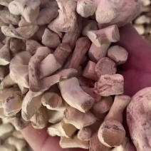 双剪香菇腿，人工挑选，机器打磨，全国发货，量大从优