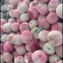桃子，，毛桃