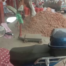 葱蒜产地