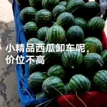 精品甜王小西瓜