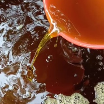 压榨浓香菜籽油
