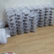 蝎子套餐活动来了，特价三天，再送蝎子酒半斤，一盒全国包邮
