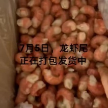 龙虾尾