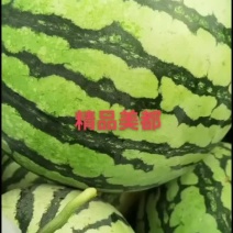 通许县美都，龙卷风大量上市中