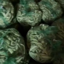 东北油豆角大量上市，有需要的朋友欢迎您前来洽谈选购，