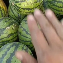 【热卖】精品西瓜甜王西瓜一手货源价优代发全国欢迎致