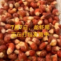 龙虾尾