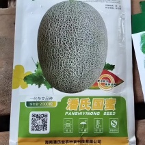 哈密瓜种子