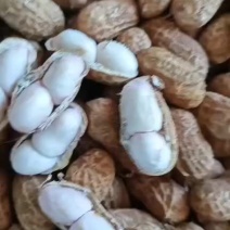 大白沙，小白沙，红花生