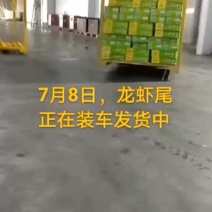 龙虾尾