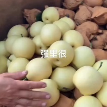 安徽砀山，白皇冠梨、冷库果。大量出库，11