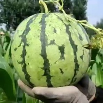 皮薄口感好