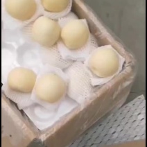 皇冠梨大量上市了欢迎采购