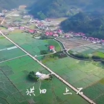 研学基地，古装剧本杀，中药材种植基地，帐篷营地，房车营地