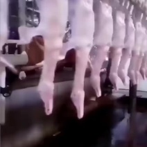 樱桃谷瘦肉型白条鸭及副产