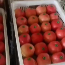 硬粉