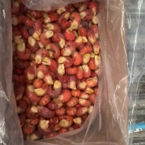 特级龙虾尾特大龙虾尾原料虾尾干冰龙虾尾虾掌门
