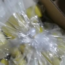 海南精品香蕉