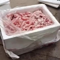 鱼泡
