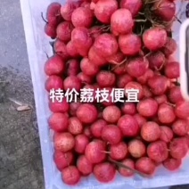 特价荔枝