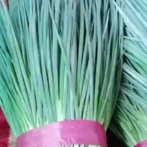 河北邯郸本地小葱大量现货可视频观看量大从优