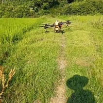以后卖