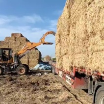 稻草大捆二遍柔丝无土、无膜、无霉变、水分安全保过