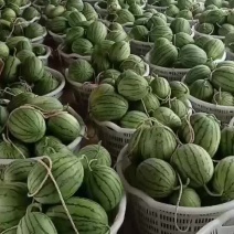大棚西瓜原生苗头茬甘美4K，味道纯正，淸甜可口，