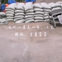 羊粪