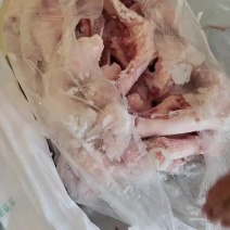 前后腿骨