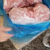 母猪二号