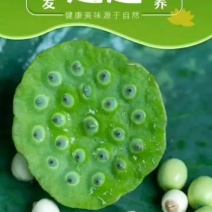 莲蓬，
