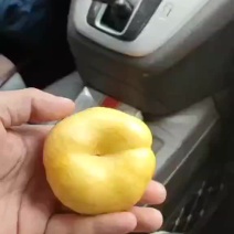 口感很好
