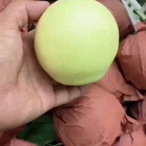 皇冠梨