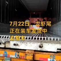 龙虾尾