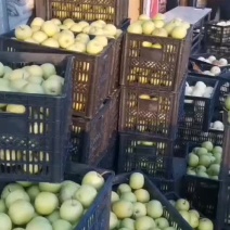 苹果梨