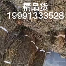 精品干豆角