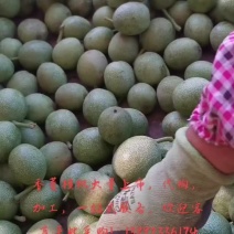 香菱核桃
