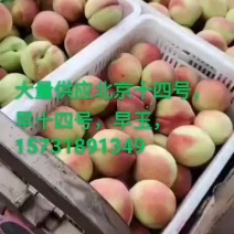 北京十四号大量供应上市
