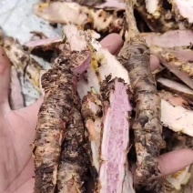 红景天，新鲜货，纯野生