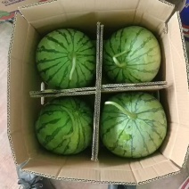 精品帅童物美价廉