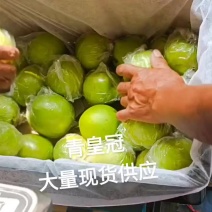 皇冠梨全国发货诚信经营脆甜多汁货源充足